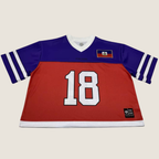Ayiti 1804 Jersey