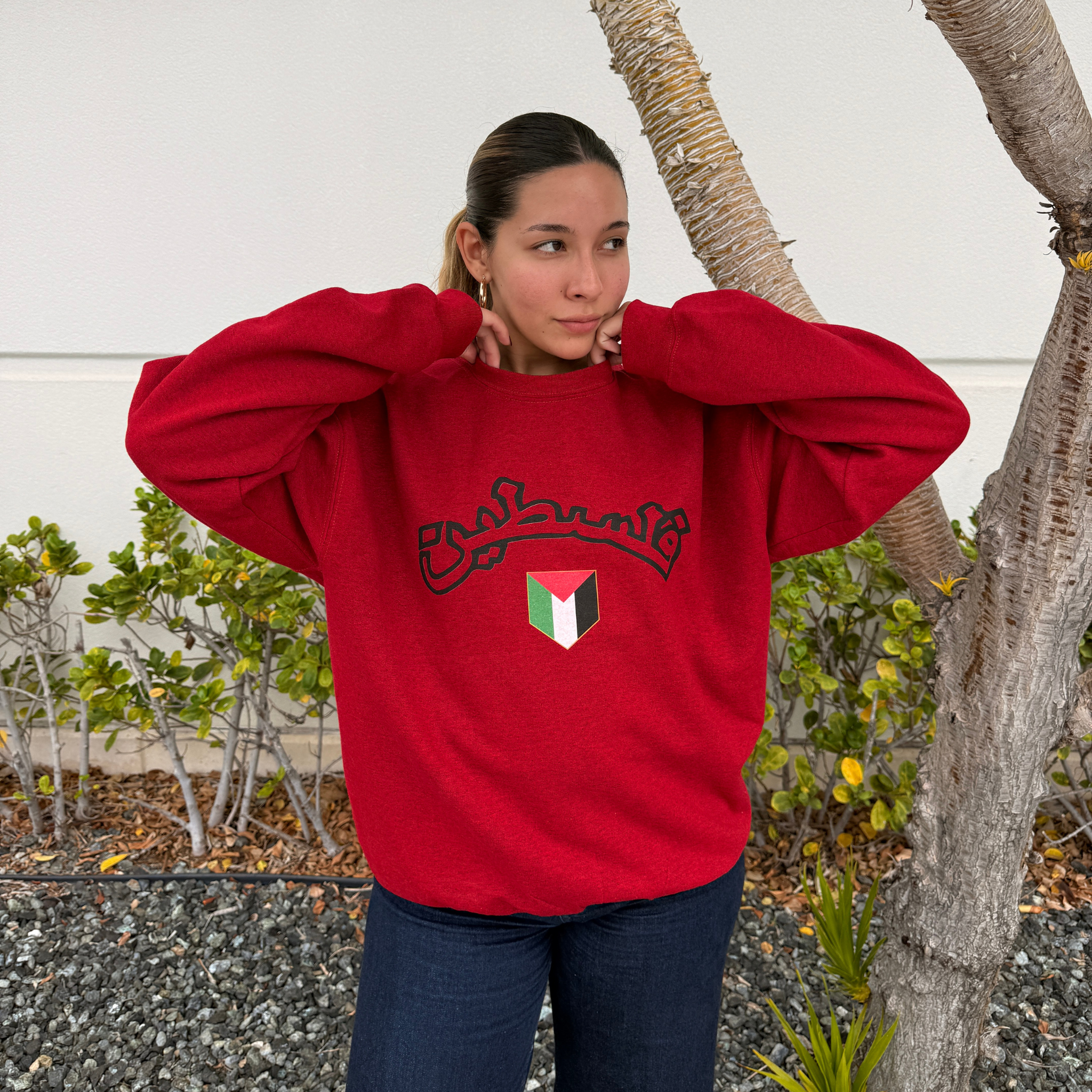 Palestine Unisex Varsity Crewneck